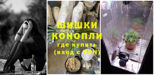 spice Кодинск