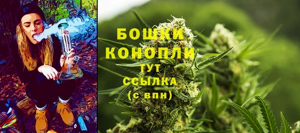 spice Кодинск
